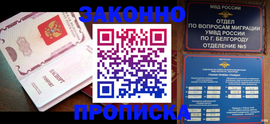 временная регистрация для школы в Сланцах